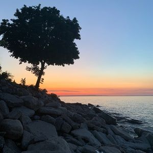 Meet your Posher, Ava